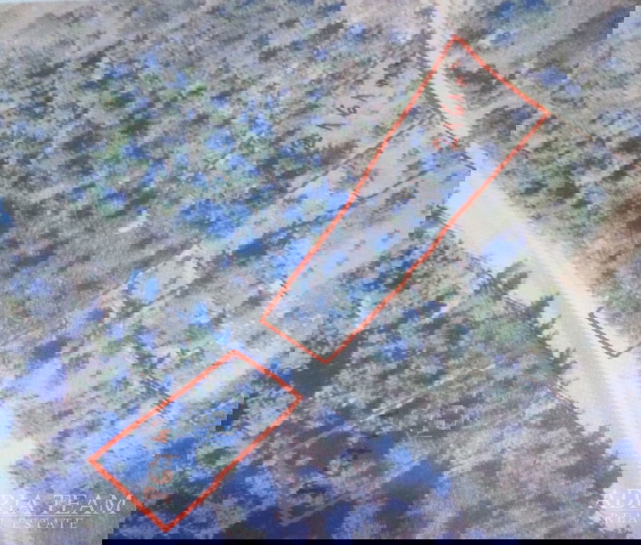 POLJOPRIVREDNO ZEMLJIŠTE 80 m OD MORA - NEVIĐANE, PAŠMAN