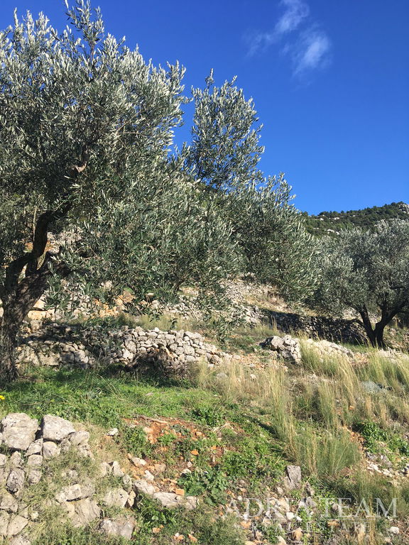 ZEMLJIŠTE PRAVILNOG OBLIKA, 850 m OD MORA, BABINO POLJE - MLJET