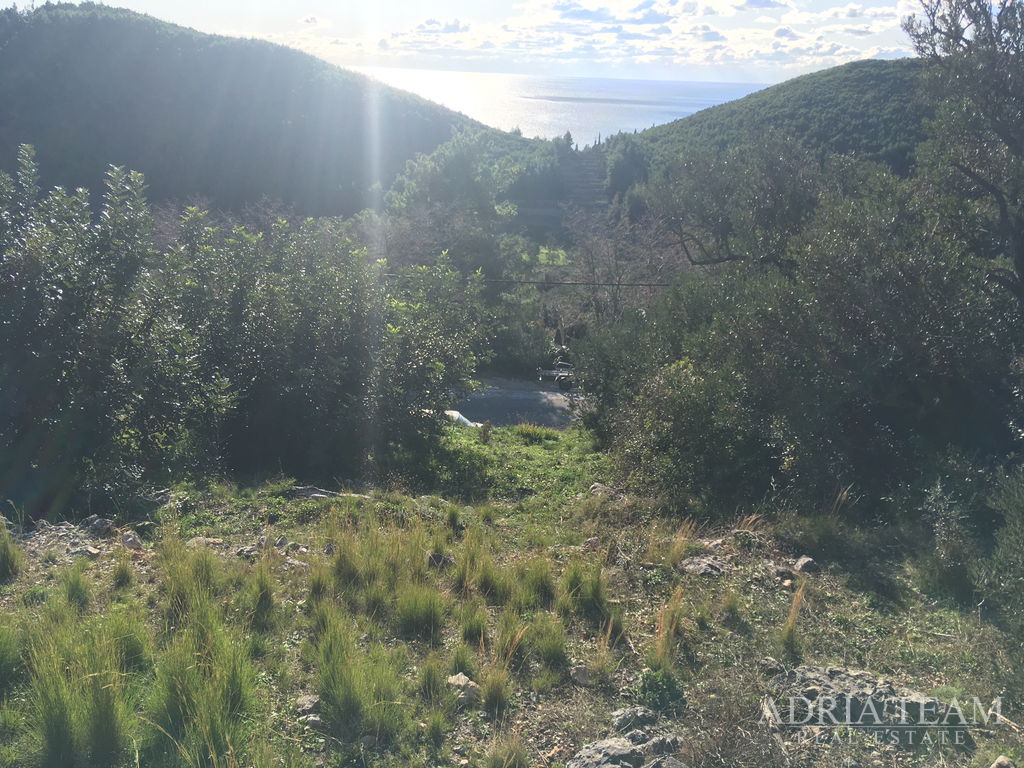 ZEMLJIŠTE PRAVILNOG OBLIKA, 850 m OD MORA, BABINO POLJE - MLJET