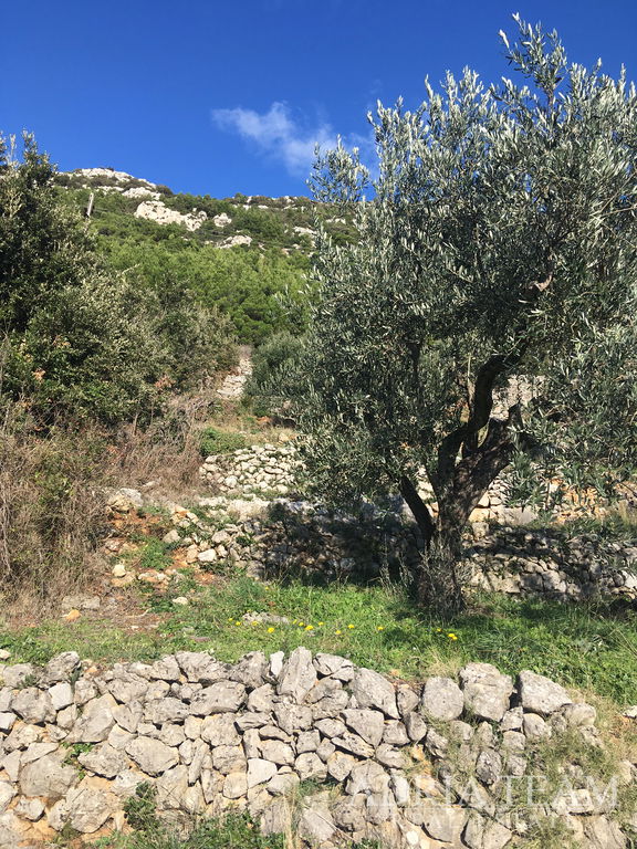 ZEMLJIŠTE PRAVILNOG OBLIKA, 850 m OD MORA, BABINO POLJE - MLJET