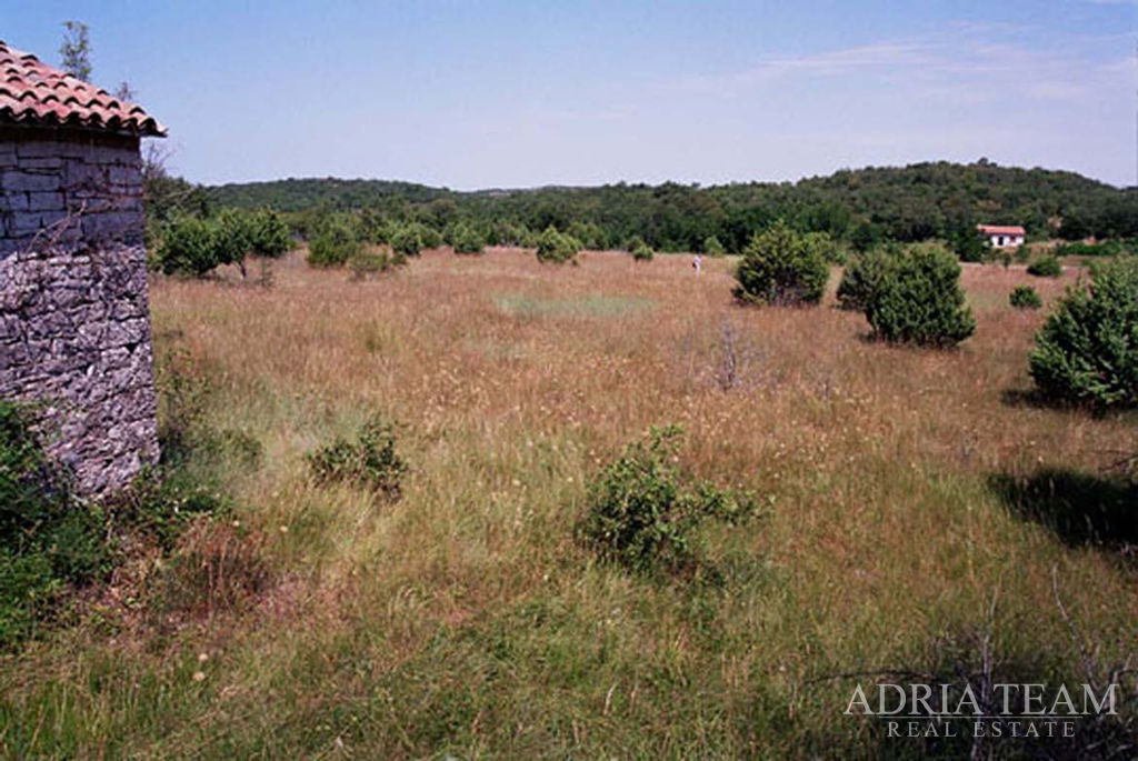 POLJOPRIVREDNO ZEMLJIŠTE - KANFANAR, ŠORIĆI