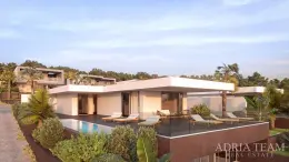 VILA S BAZENOM I POGLEDOM NA MORE - STARA NOVALJA nekretnina za prodaju