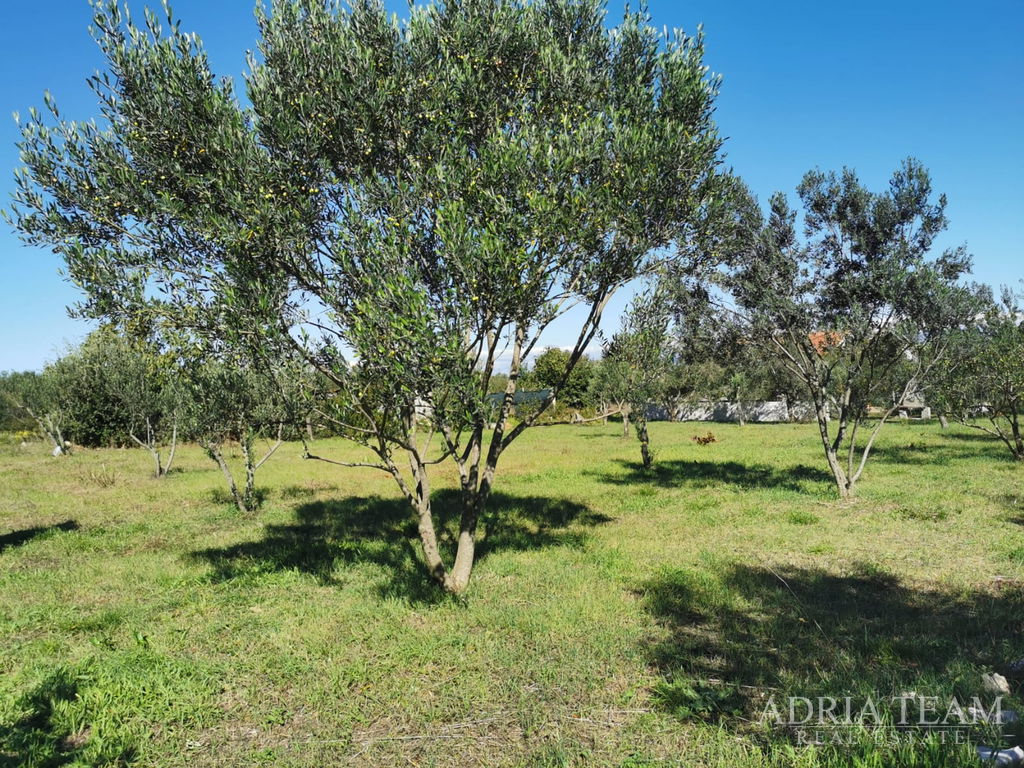 GRAĐEVINSKO ZEMLJIŠTE, PRAVILNOG OBLIKA, 250m OD MORA, PAŠMAN - DOBROPOLJANA