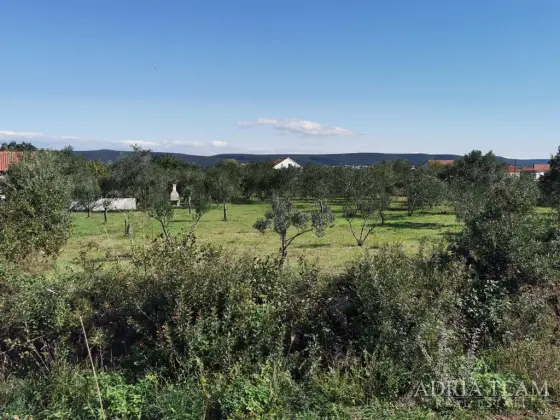 GRAĐEVINSKO ZEMLJIŠTE, PRAVILNOG OBLIKA, 250m OD MORA, PAŠMAN - DOBROPOLJANA nekretnina za prodaju