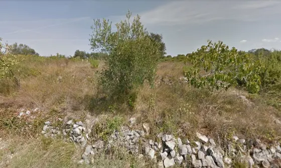POLJOPRIVREDNO ZEMLJIŠTE POGODNO ZA NASAD MASLINA - ŠOLTA, GORNJE SELO nekretnina za prodaju